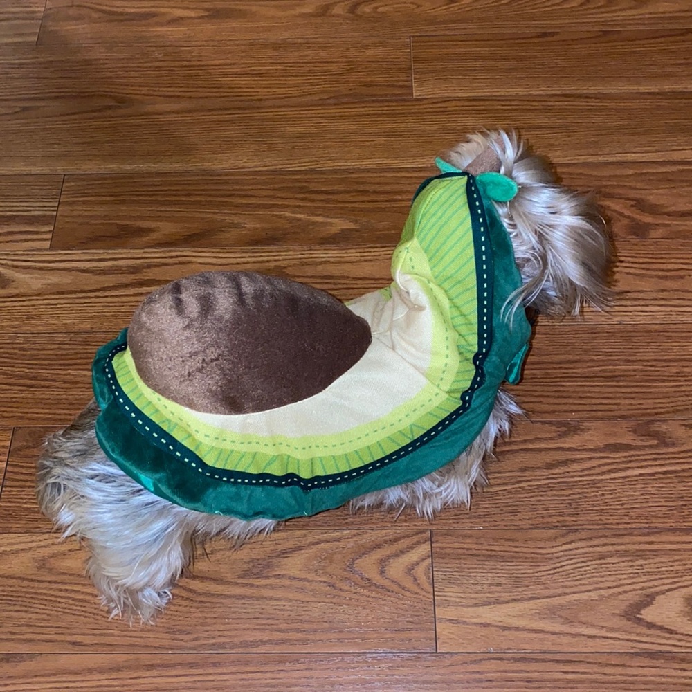 Avocado Costume Puppy Small Dog Halloween DressUp 🥑